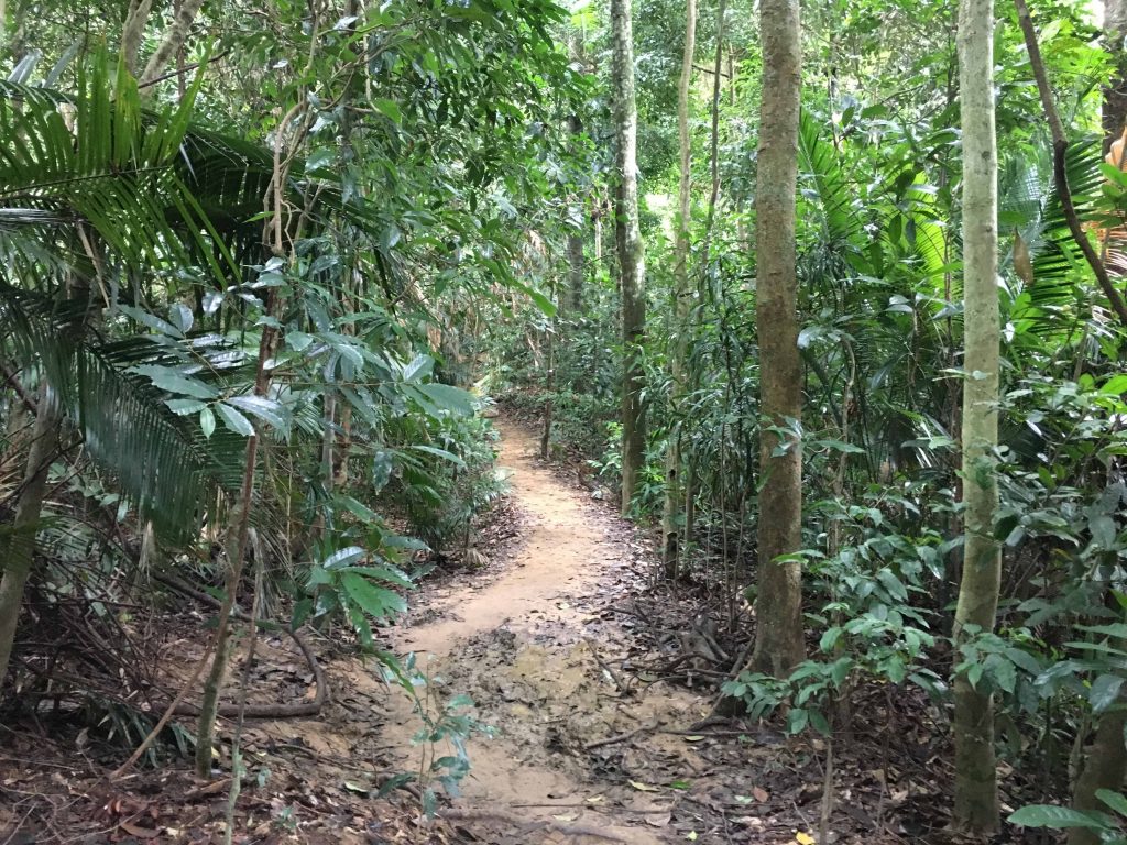 Hiking di Gunung Datuk Rembau Negeri Sembilan